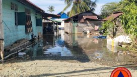 205 Rumah di Petasia Morut Diterjang Banjir Rob/BPBD Sulteng