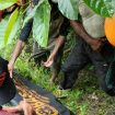 Lansia ditemukan meninggal dunia di hutan. Foto: Istimewa
