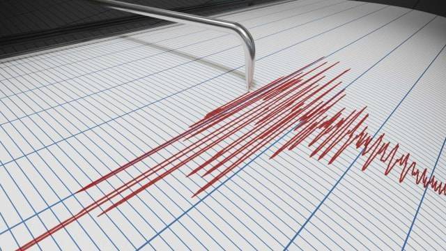 
 Ilustrasi seismograf gempa bumi. Foto: Getty Images