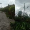 Gerak Cepat Tim PLN ULP Donggala Atasi Gangguan Listrik Akibat Cuaca Buruk di Palolo Sigi. Foto: Vito Tafwidh Raharso