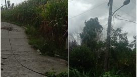 Gerak Cepat Tim PLN ULP Donggala Atasi Gangguan Listrik Akibat Cuaca Buruk di Palolo Sigi. Foto: Vito Tafwidh Raharso