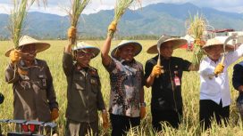 Menteri Pertanian (Mentan) Syahrul Yasin Limpo (SYL) memerintahkan jajaran Kementerian Pertanian (Kementan). Foto : Humas Barantan Palu