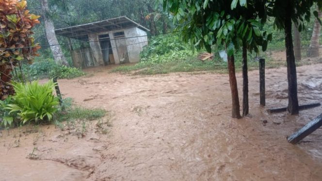 
 Desa Palau, Kecamatan Balaesang Tanjung, Kabupaten Donggala diterjang banjir. Foto : Humas BPBD Sulteng