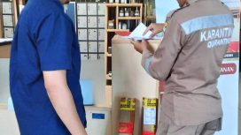 wilker Bandara Mutiara Sis Aljufri menahan ratusan bibit tanaman hias dan benih yang tak miliki sertifikat karantina. Foto: Humas Karantina Pertanian Kelas II Palu