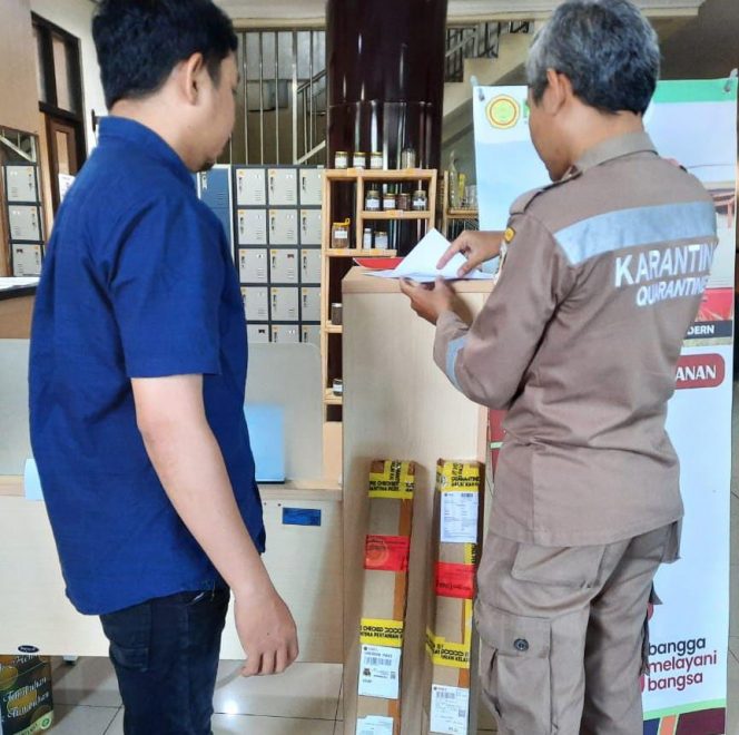 
 wilker Bandara Mutiara Sis Aljufri menahan ratusan bibit tanaman hias dan benih yang tak miliki sertifikat karantina. Foto: Humas Karantina Pertanian Kelas II Palu