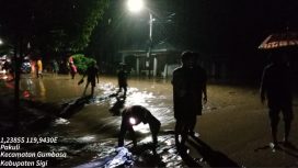 Desa Tomato di Kabupaten Sigi terendam banjir. Foto: BPBD Sulteng