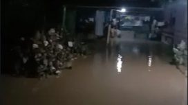 Sebanyak 60 unit rumah tergenang banjir di Desa Tomini, Kecamatan Tomini Barat, Kabupaten Parigi Moutong. Foto: BPBD Sulteng