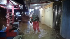 Dua desa di Kecamatan Petasia Barat tergenang banjir. Foto: BPBD Sulteng