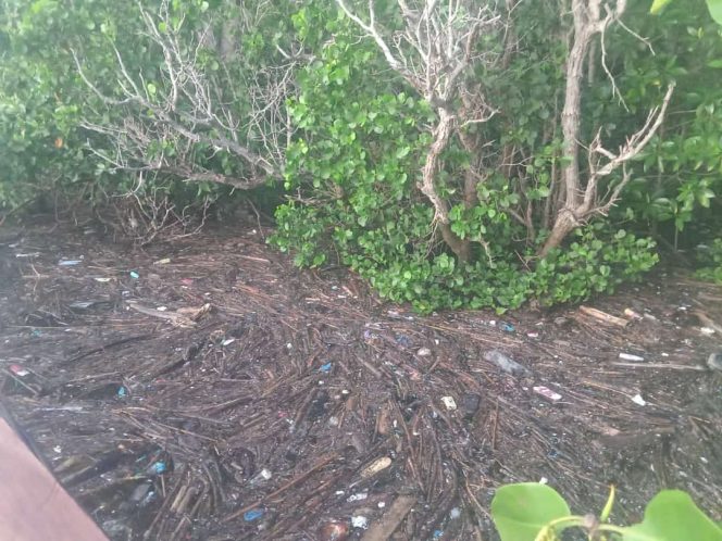 
 Sampah kiriman terus berdatangan di kawasan objek wisata mangrove di Kelurahan Kabonena Besar. Foto: Yuryanto