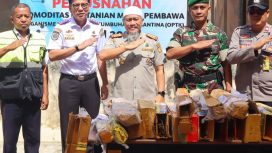 Kepala Karantina Pertanian Palu Amril musnakan puluhan bibit ilegal. Foto: Barantan Palu