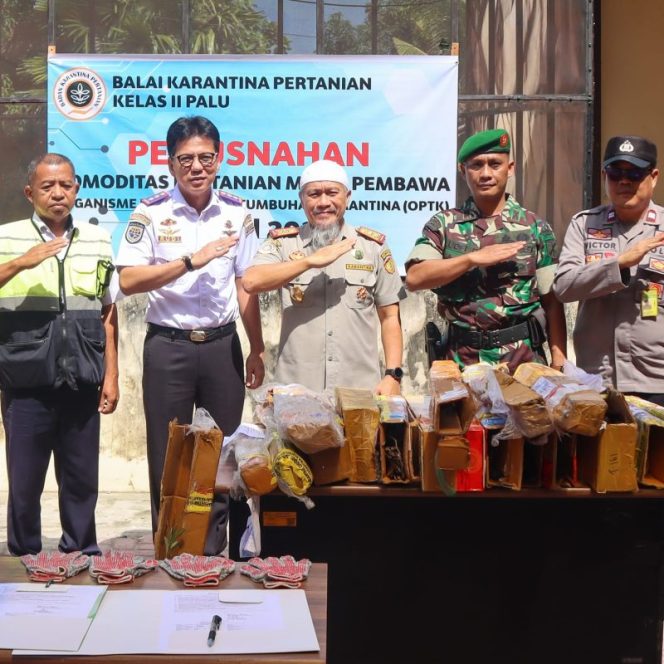 
 Kepala Karantina Pertanian Palu Amril musnakan puluhan bibit ilegal. Foto: Barantan Palu