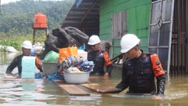 Tim SAR Brimob Polda Sulteng mengevakuasi warga yang terdampak banjir di Morowali Utara. Foto: Polda Sulteng 