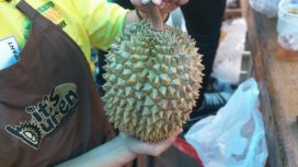 Ilustrasi memilih durian. Foto: Helinsa Rasputri/kumparan