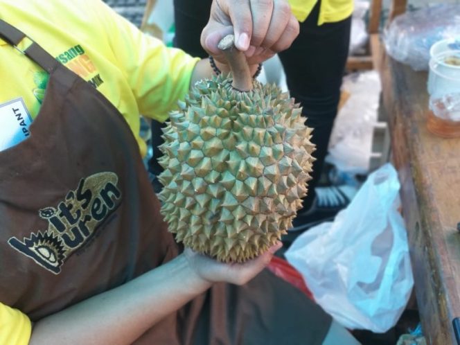 
 Ilustrasi memilih durian. Foto: Helinsa Rasputri/kumparan