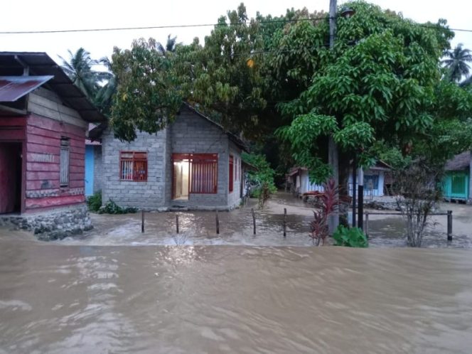 
 Dua desa di Kabupaten Poso tergenang banjir. Foto: Humas BPBD Sulteng