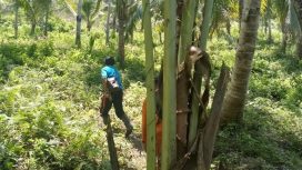 Suasana pencarian warga hilang di Kabupaten Banggai, Sulawesi Tengah. Foto: Istimewa