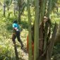 Suasana pencarian warga hilang di Kabupaten Banggai, Sulawesi Tengah. Foto: Istimewa