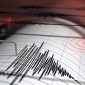Ilustrasi Seismograf Gempa Bumi. Foto: Getty Image