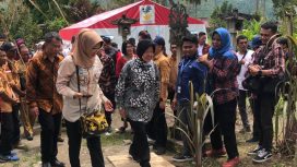 Menteri Risma Pantau Bakti Sosial dan Kesehatan Gratis di Parigi Moutong, Selasa 5 Maret 2024. Foto: Diskominfo Parimo