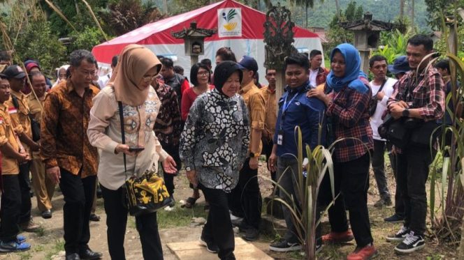 
 Menteri Risma Pantau Bakti Sosial dan Kesehatan Gratis di Parigi Moutong, Selasa 5 Maret 2024. Foto: Diskominfo Parimo