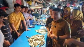 Wali Kota Palu Hadianto Rasyid turun langsung ke Pasar Masomba Palu untuk memastikan ikan-ikan di pasar tradisional tersebut aman di konsumsi, Senin 22 Juli 2024. Foto: Istimewa