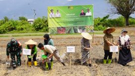 Pemkot Palu gelar gerakan tanam bawang bersama Kelompok Tani Larapoindo di Kelurahan Kawatuna, Kecamatan Mantikulore, Kota Palu, Kamis 8 Agustus 2024. Foto: Istimewa