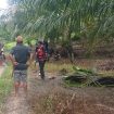 Warga Salusumpu Ditemukan Meninggal setelah Hilang saat Mencari Kepiting, Rabu 4 Desember 2024. Foto: Istimewa