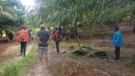 Warga Salusumpu Ditemukan Meninggal setelah Hilang saat Mencari Kepiting, Rabu 4 Desember 2024. Foto: Istimewa