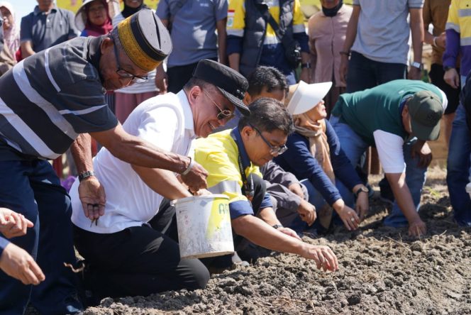 
 Wali Kota Palu Tanam Bibit Bawang, Dukung Inisiatif Pemuda