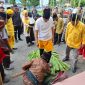 Bupati Parigi Moutong, Erwin Burase, resmi tempati rumah dinas pada Sabtu 14 Juni 2024. Ia disambut dengan prosesi adat Kaili. Foto: Istimewa