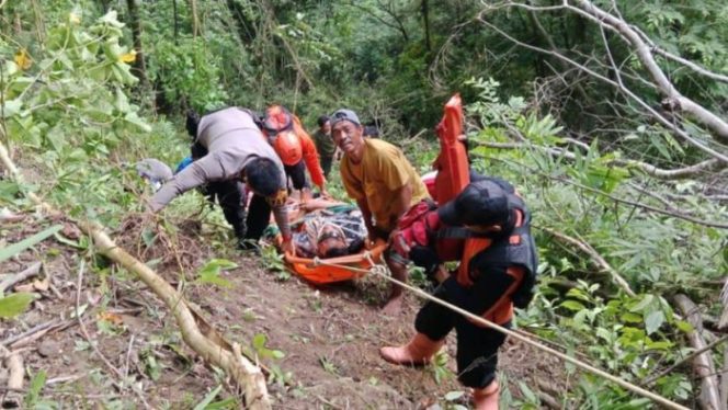 
 Tim SAR Gabungan mengevakuasi Kasmad Larasa, korban kecelakaan minibus yang terjun ke jurang sedalam 110 meter di Desa Toboli, Kecamatan Parigi Utara, Kabupaten Parigi Moutong, Selasa, 24 Juni 2025. Korban selamat meski mengalami patah tulang. Foto: Tim SAR