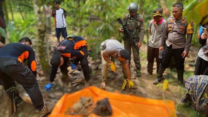 
 Tinggal Tulang Belulang, Mayat Pekebun Ditemukan di Pegunungan Poso. Foto: Istimewa