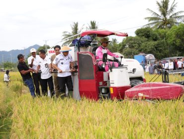Bupati Parigi Moutong, Erwin Burase, bersama sejumlah pejabat daerah ikut mengoperasikan mesin panen padi saat Panen Padi Perdana di Desa Kasimbar Palapi, Kecamatan Kasimbar, Rabu (29/10/2025). Foto: Istimewa
