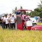 Bupati Parigi Moutong Erwin Burase ikut panen padi bersama petani di Desa Kasimbar Palapi menggunakan mesin pemanen modern.