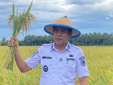 Bupati Parigi Moutong, Erwin Burase, memegang padi saat berada di area persawahan sebagai simbol komitmen menjaga ketahanan pangan dan menolak aktivitas tambang ilegal di wilayahnya. Foto: Istimewa