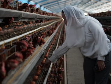 Wakil Wali Kota Palu memeriksa produksi telur saat sidak distributor di Kelurahan Layana. Foto: Jufri/Pemkot Palu