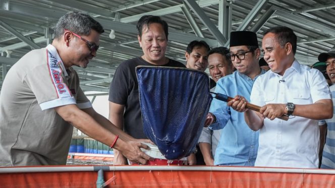 
 Gubernur Sulawesi Tengah Anwar Hafid (kanan) bersama jajaran meninjau sekaligus memanen ikan pada lokasi budidaya ikan air tawar di Desa Mpanau, Kecamatan Sigi Biromaru, Kabupaten Sigi, Jumat (16/1/2026), sebagai bagian dari penguatan Program Berani Tangkap Banyak. Foto: Pemprov Sulteng