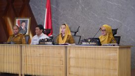 Wawali Imelda Tekankan Perhatian pada Ibu Hamil. Foto: Pemkot Palu 