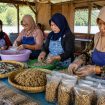 Ilustrasi Kelompok Perempuan Pesisir Dilatih Mengolah Hasil Perikanan. Foto: PPID/AI
