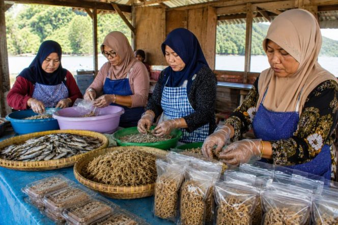 
 Ilustrasi Kelompok Perempuan Pesisir Dilatih Mengolah Hasil Perikanan. Foto: PPID/AI