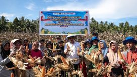 Parigi Moutong Kucurkan Rp7,9 Miliar untuk Benih Padi dan Jagung