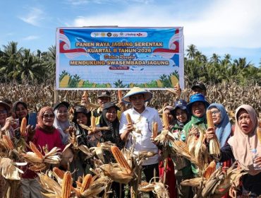 Parigi Moutong Kucurkan Rp7,9 Miliar untuk Benih Padi dan Jagung