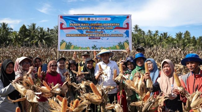 Parigi Moutong Kucurkan Rp7,9 Miliar untuk Benih Padi dan Jagung