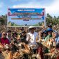 Panen raya jagung petani Parigi Moutong