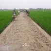 Parigi Moutong Kucurkan Rp 4,2 Miliar untuk Perkuat Infrastruktur Pertanian. Foto: Istimewa