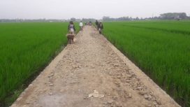 Parigi Moutong Kucurkan Rp 4,2 Miliar untuk Perkuat Infrastruktur Pertanian. Foto: Istimewa