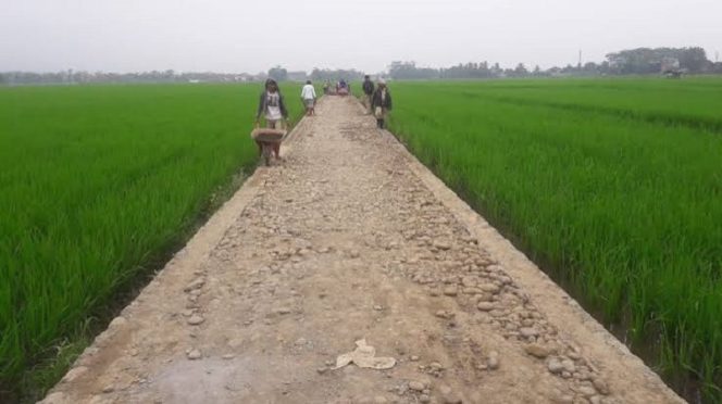 
 Parigi Moutong Kucurkan Rp 4,2 Miliar untuk Perkuat Infrastruktur Pertanian. Foto: Istimewa