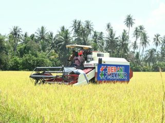 Mesin panen bekerja di lahan padi Desa Walatana, Sigi, yang dikembangkan sebagai model pertanian modern Sulawesi Tengah. Foto: Pemprov Sulteng