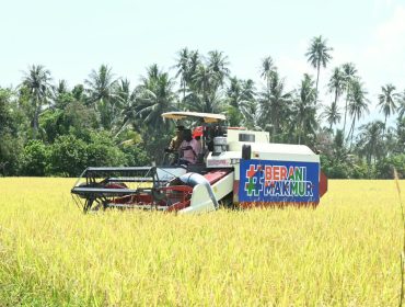Mesin panen bekerja di lahan padi Desa Walatana, Sigi, yang dikembangkan sebagai model pertanian modern Sulawesi Tengah. Foto: Pemprov Sulteng