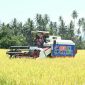 Mesin panen memanen padi di Desa Walatana, Sigi, Sulawesi Tengah.
